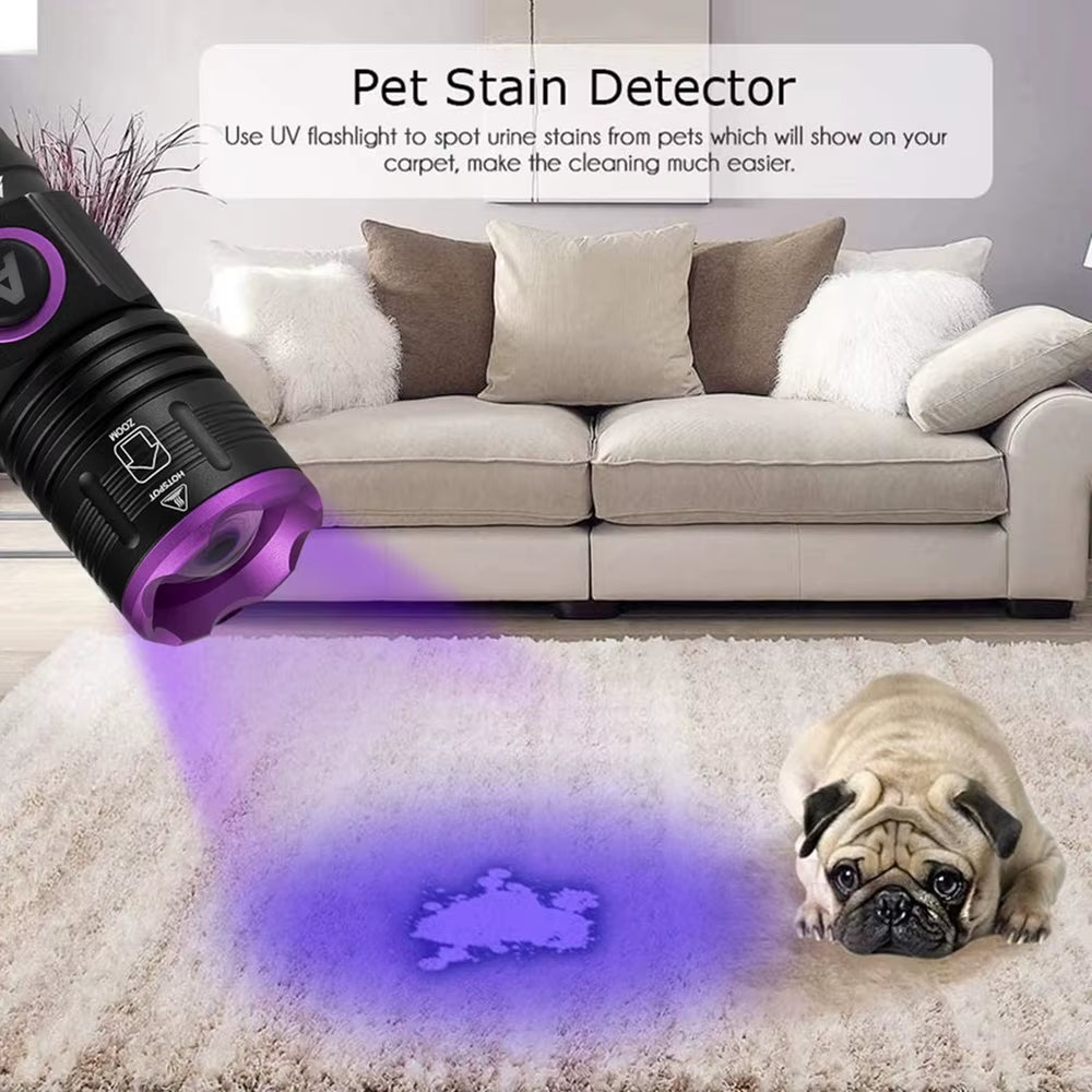 365/395Nm Zoom UV Flashlight USB Rechargeable Ultraviolet Adhesive Curing Torch Cat Dog Pets Urine Tinea Marker Money Ore Light